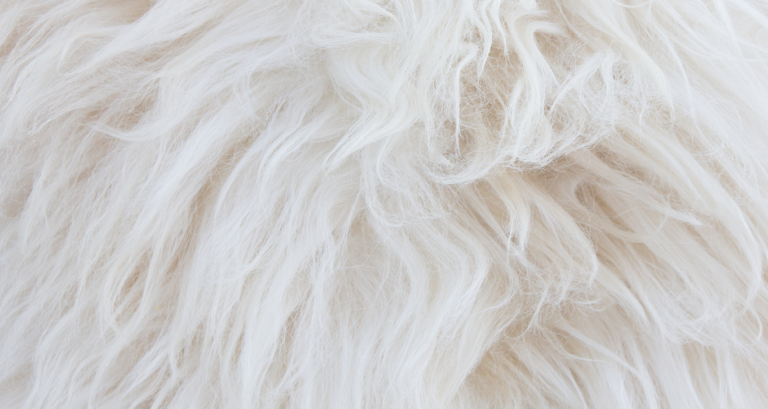 Handout: Supplemente Haut und Fell