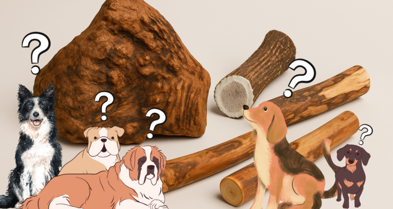 Kauwurzel oder Kauholz? Was für welchen Hund?