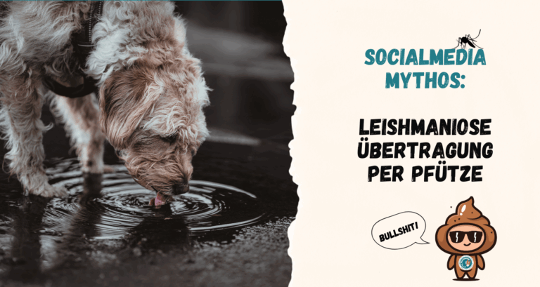 Leishmaniose Basics